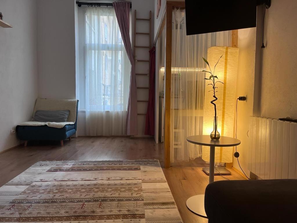 Downtown Apartment Timisoara Luaran gambar