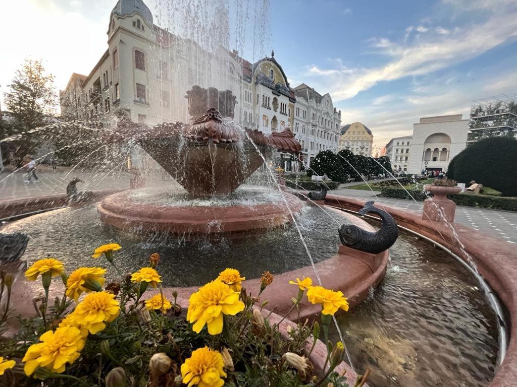 Downtown Apartment Timisoara Luaran gambar